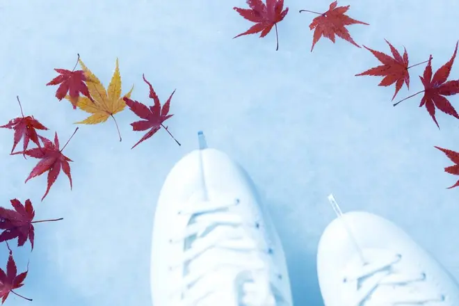 ▲氷に閉じ込められた森の落ち葉