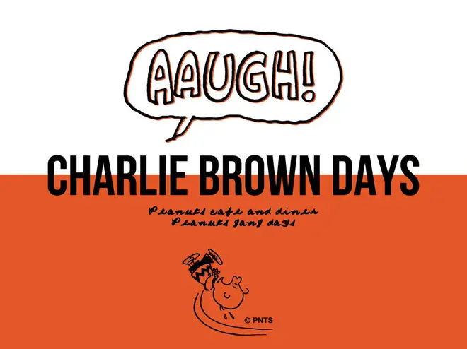 © 2018 Peanuts Worldwide LLC