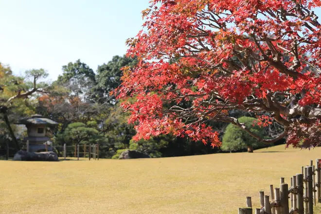 旧堀田正倫庭園（さくら庭園）は無料で観覧できる