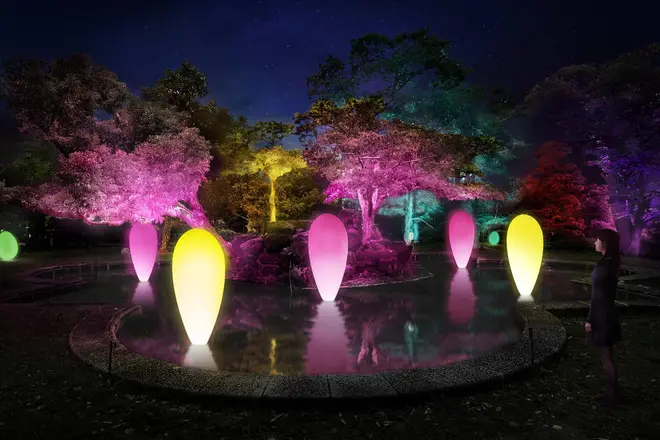 桜の池跡の水面に立つ、自立しつつも呼応する生命 / Autonomous Resonating Life on the Surface of the Cherry Blossom Pond teamLab, 2019, Digital Installation, Endless, Sound: Hideaki Takahashi