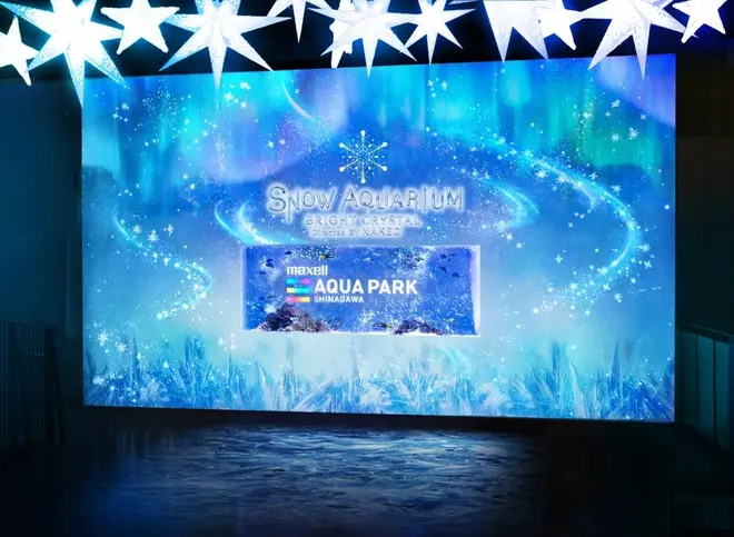 「BRIGHT SNOW」※イメージ