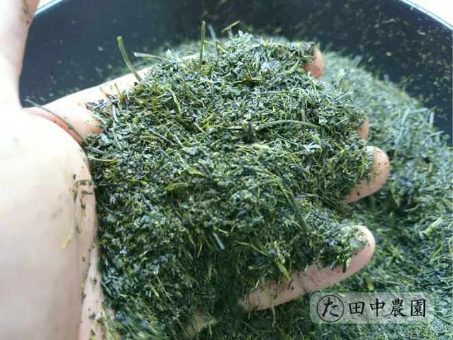 田中農園 深蒸し茶