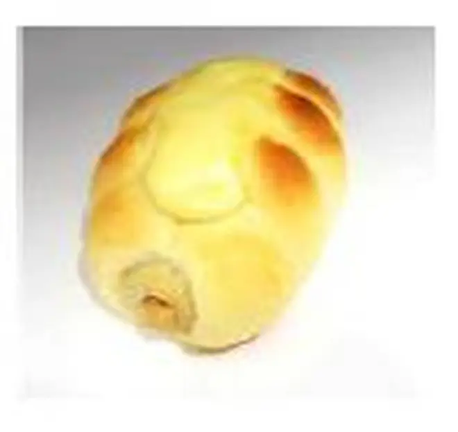 NEWちくわパン/北海道(焼きたて)