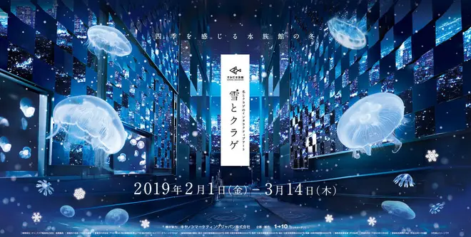 新展示「雪とクラゲ」イメージ