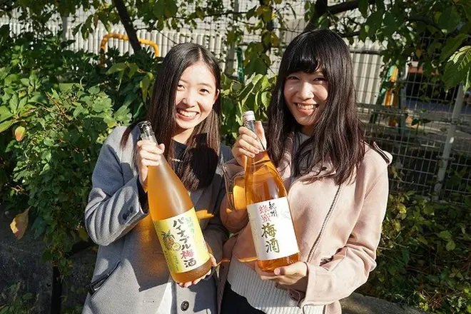 過去の様子