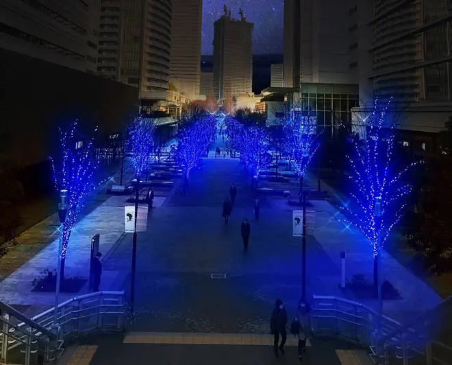 眺めの広場