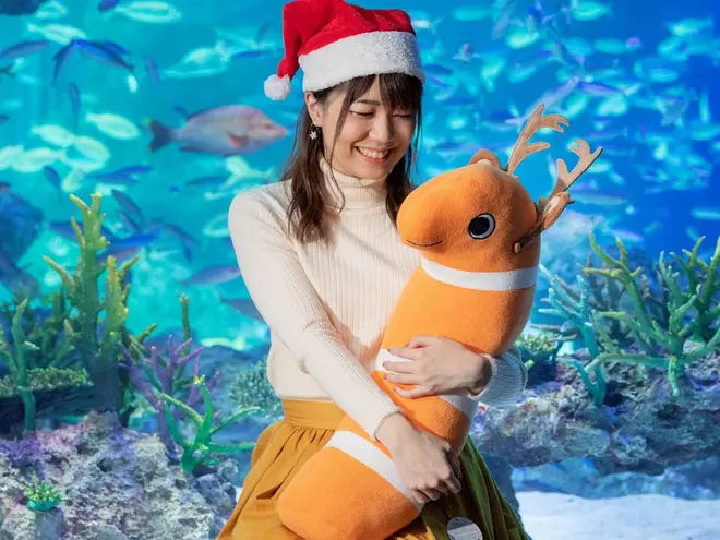 水族館ならではのフォトスポット