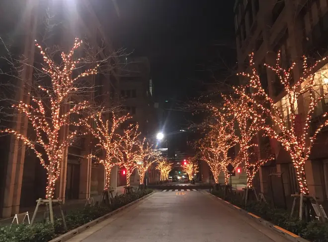 江戸桜イルミネーション2019 イメージ