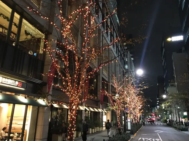 江戸桜イルミネーション2019 イメージ