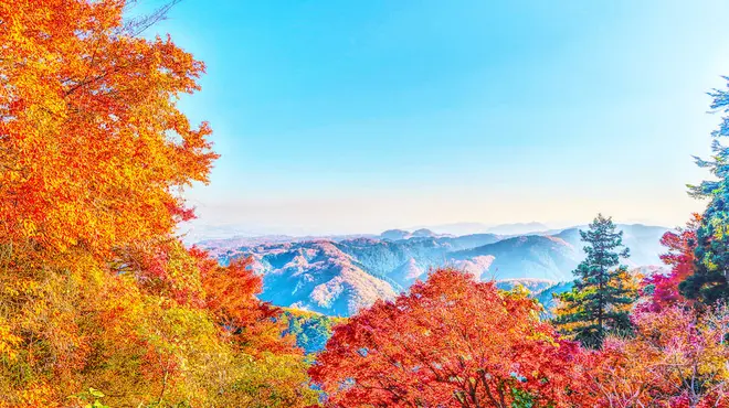 観光地として知られているが、高尾山域の奥行きはとても深く、様々なトレッキングが楽しめる