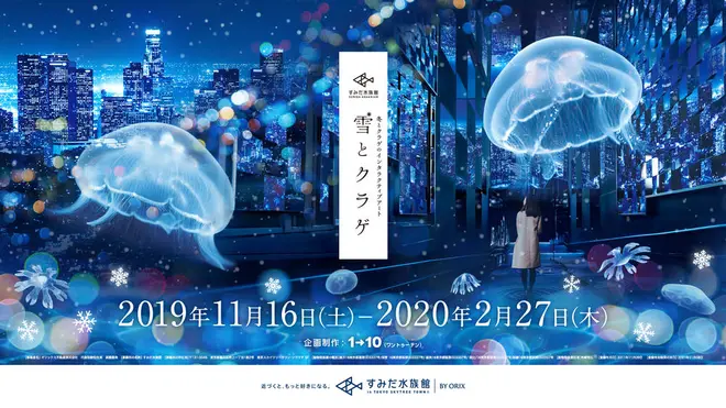 「雪とクラゲ」
