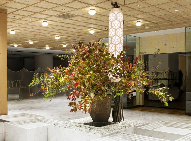 「多の森Oho no Mori plants sculpture exhibition ―二十四節気でつくる生命の森―」 イメージ