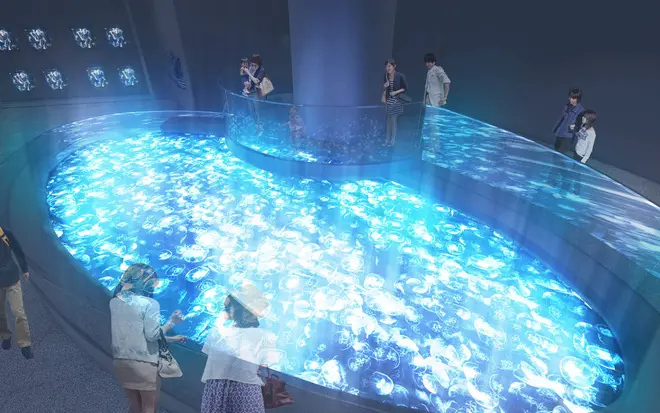 新クラゲ展示エリア イメージ