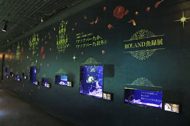 ROLAND魚録展