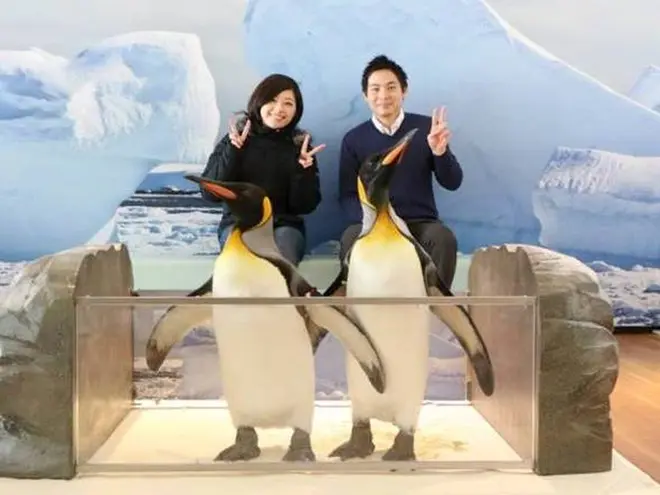 オウサマペンギンと記念撮影 イメージ