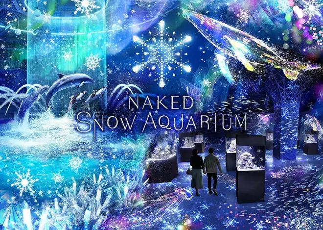 「NAKED SNOW AQUARIUM」