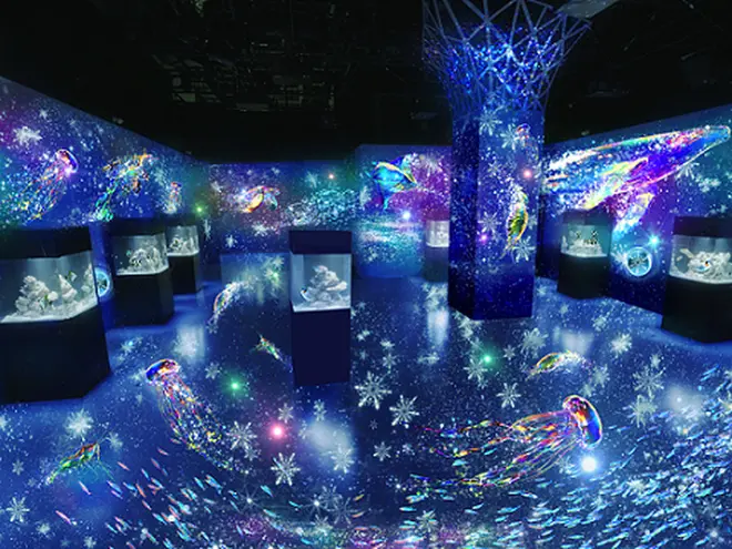 「MARINE SNOW DOME」※イメージ