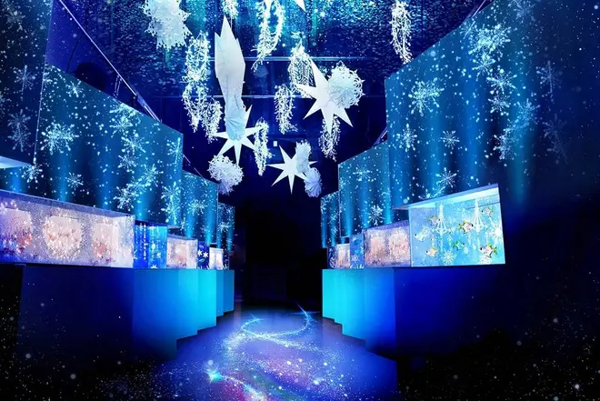 「WINTER COLOR STREET」 ※イメージ