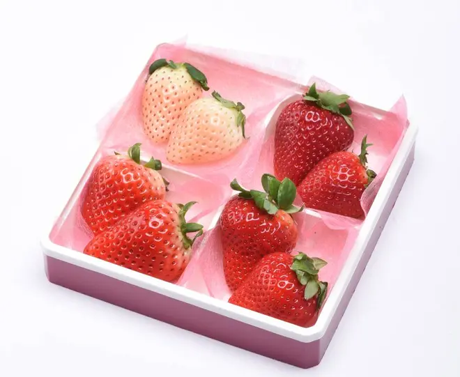 4種食べ比べ イメージ