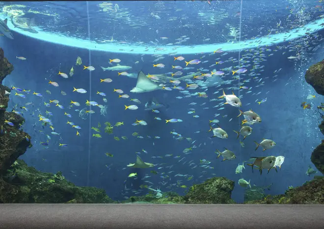 鴨川シーワールド