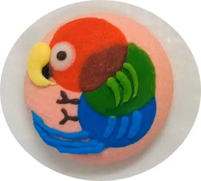 ベニコンゴウインコ マカロン
