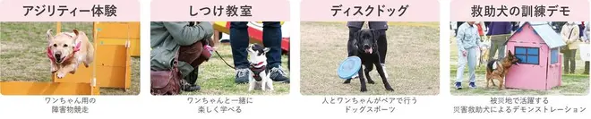 サブイベント情報