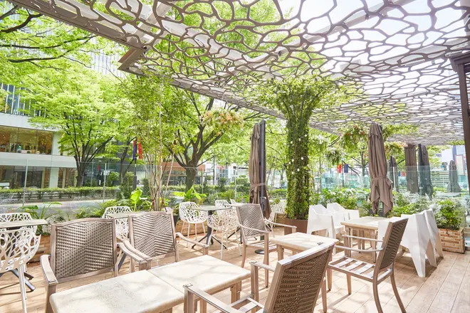 Cafe & Dining ZelkovA （カフェ＆ダイニング ゼルコヴァ）