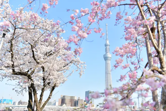 （c）TOKYO-SKYTREE