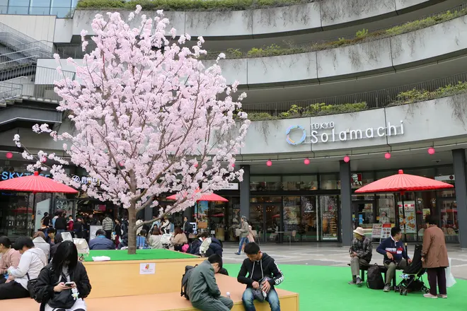 ソラマチさくらまつり（昨年の様子） （c）TOKYO-SKYTREETOWN