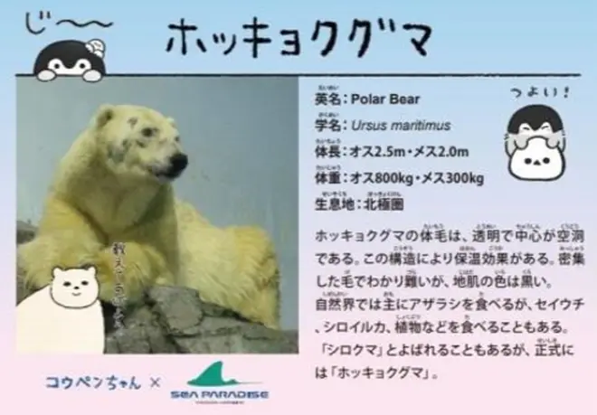 教えてくれるタイプの解説版