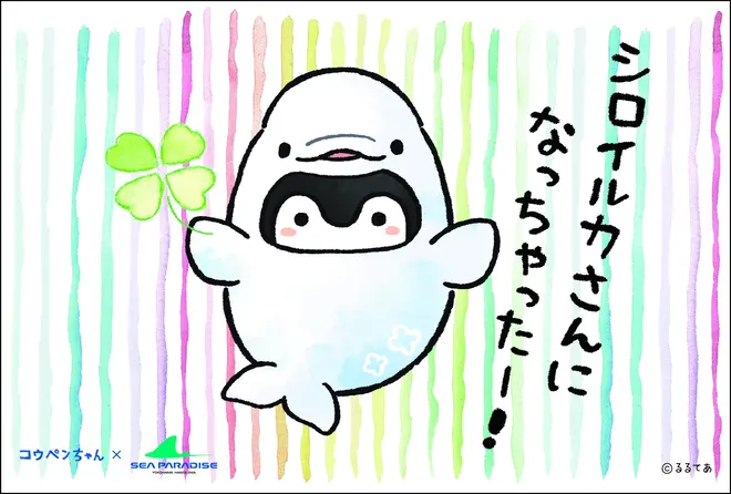 ドルフィン：ポストカード