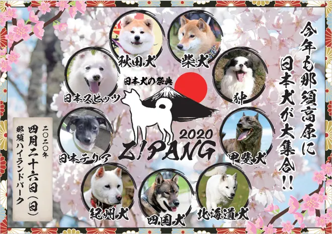 日本犬の祭典ZIPANG2020