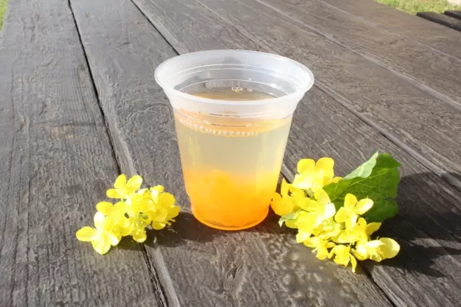 菜の花畑のはちみつレモン