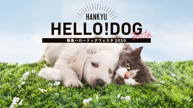 阪急ハロードッグフェスタ