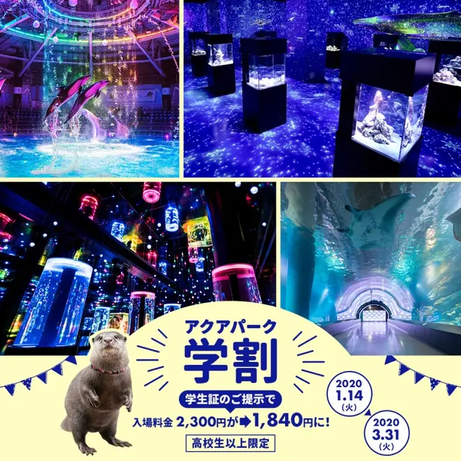 アクアパーク学割