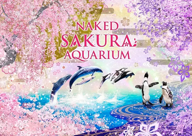 NAKED SAKURA AQUARIUM