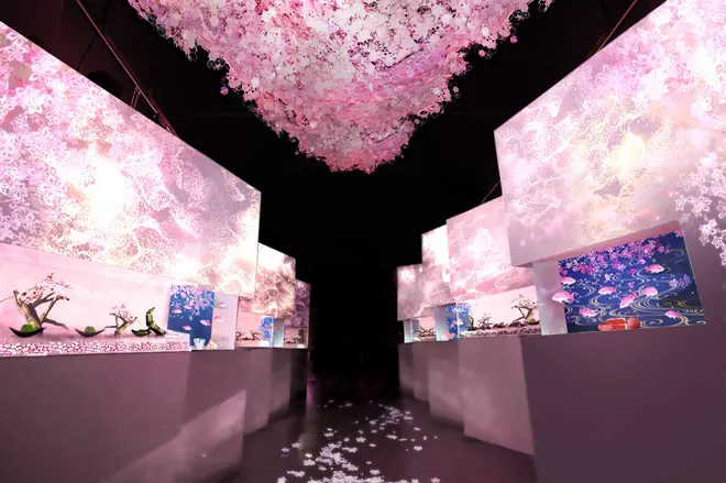 零れ桜 イメージ