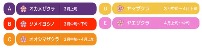 桜の見どころスポット