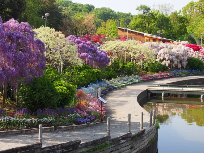 百花繚乱の園内