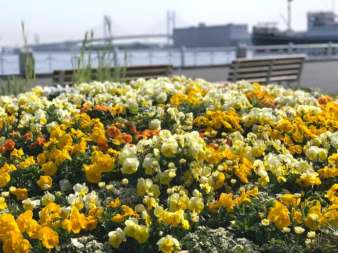 ガーデンネックレス横浜2020 イメージ