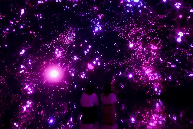 Floating in the Falling Universe of Flowers