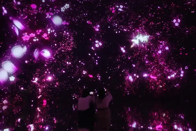 Floating in the Falling Universe of Flowers