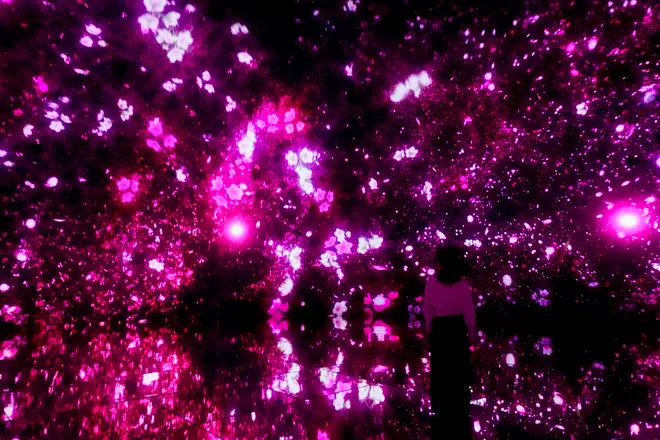 Floating in the Falling Universe of Flowers