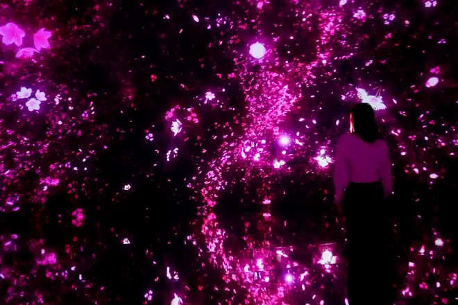 Floating in the Falling Universe of Flowers