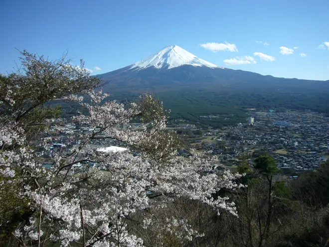 春