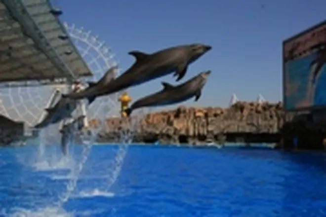 名古屋港水族館