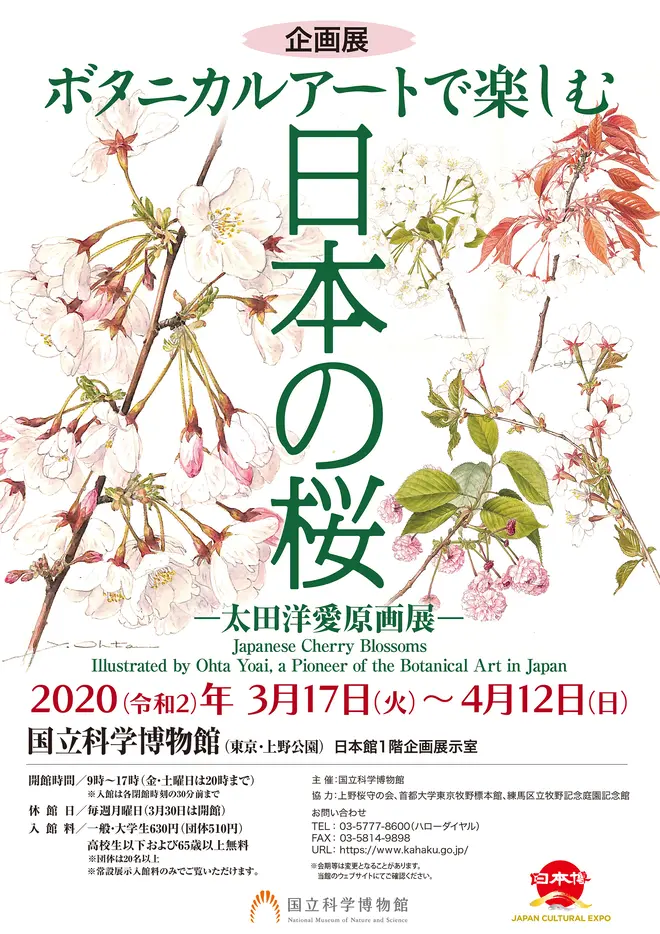企画展『ボタニカルアートで楽しむ日本の桜 ー太田洋愛原画展ー』ポスター
