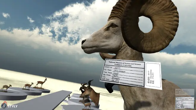 VRゴーグルで見たアルガリの剥製のイメージ。近づいてみると標本ラベルが表示される。（国立科学博物館）