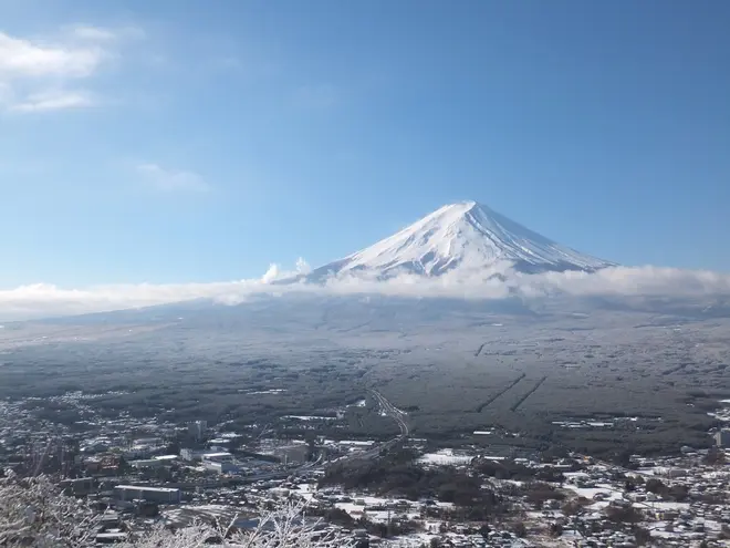 冬