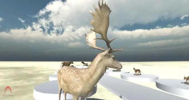 広大なバーチャル空間に24体の動物剥製が展示されている。（国立科学博物館）